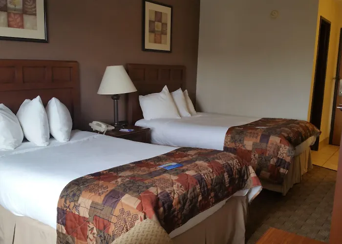 Hotel Baymont By Wyndham 3*